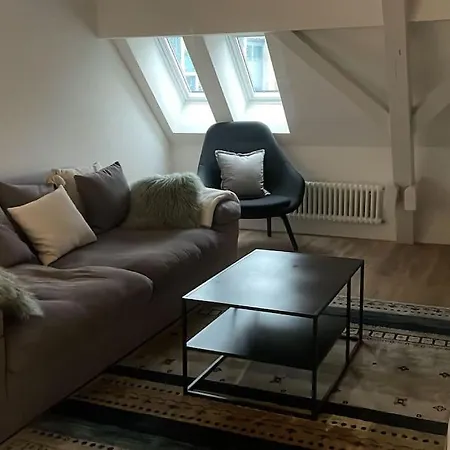 شقة Amazing Two Bedroom Penthouse In The Centre زيورخ